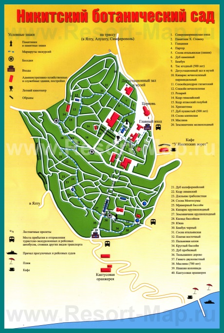 Подробная карта Никитского ботанического сада